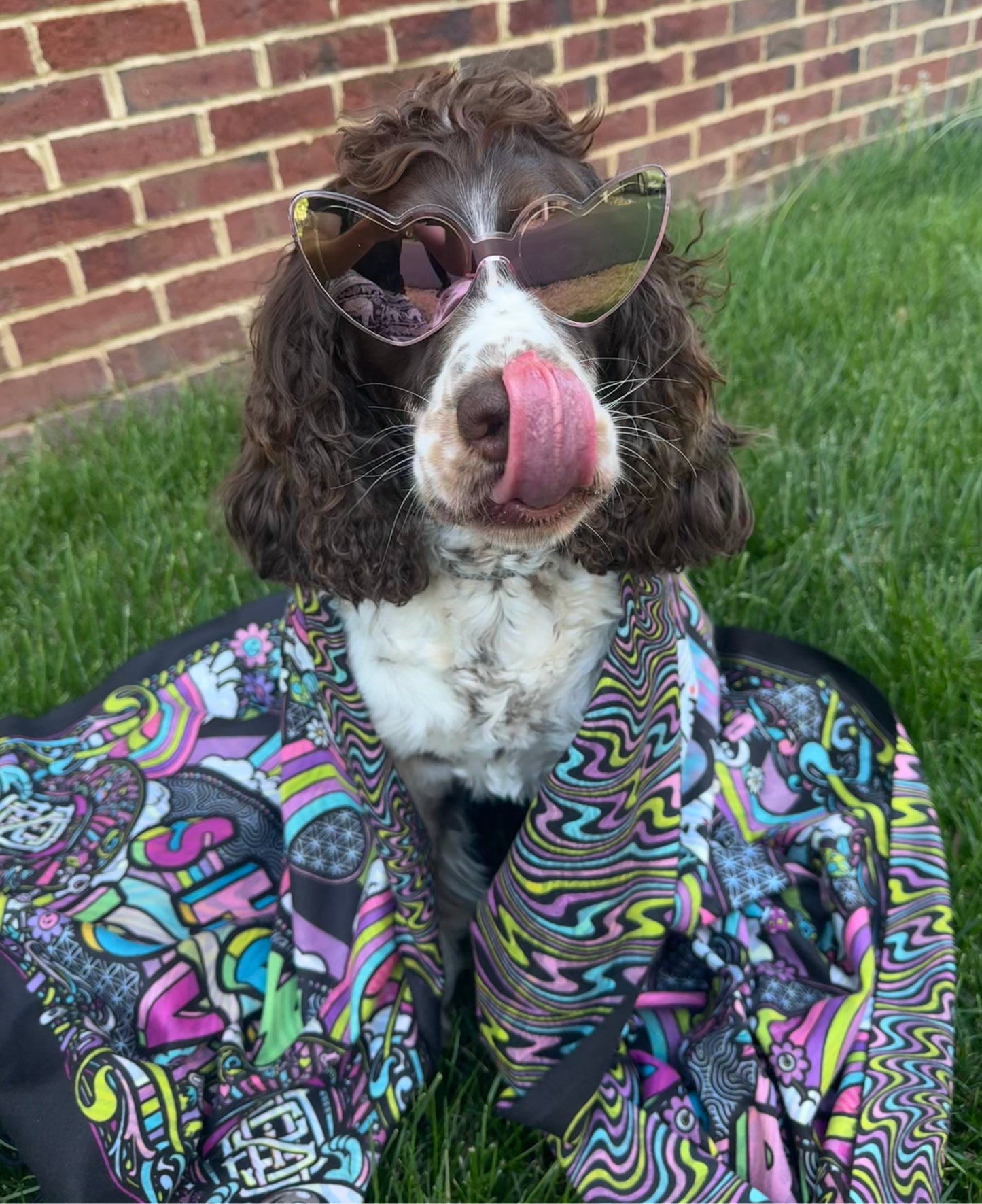 Griz Double Sided Pashmina