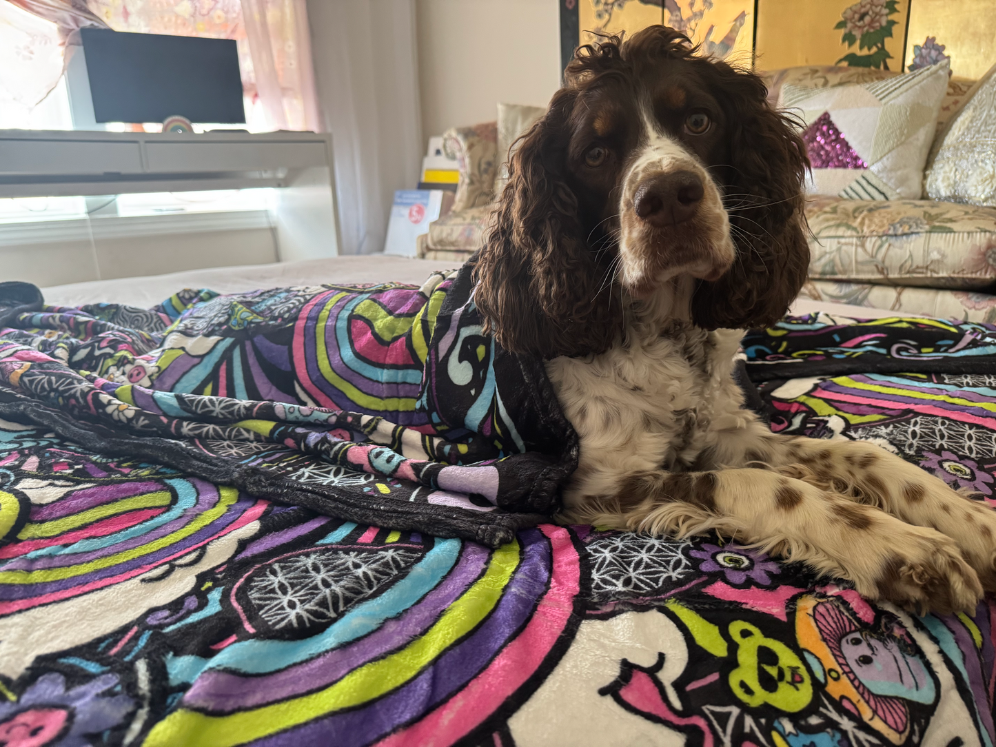 Griz Fuzzy Double Sided Blanket