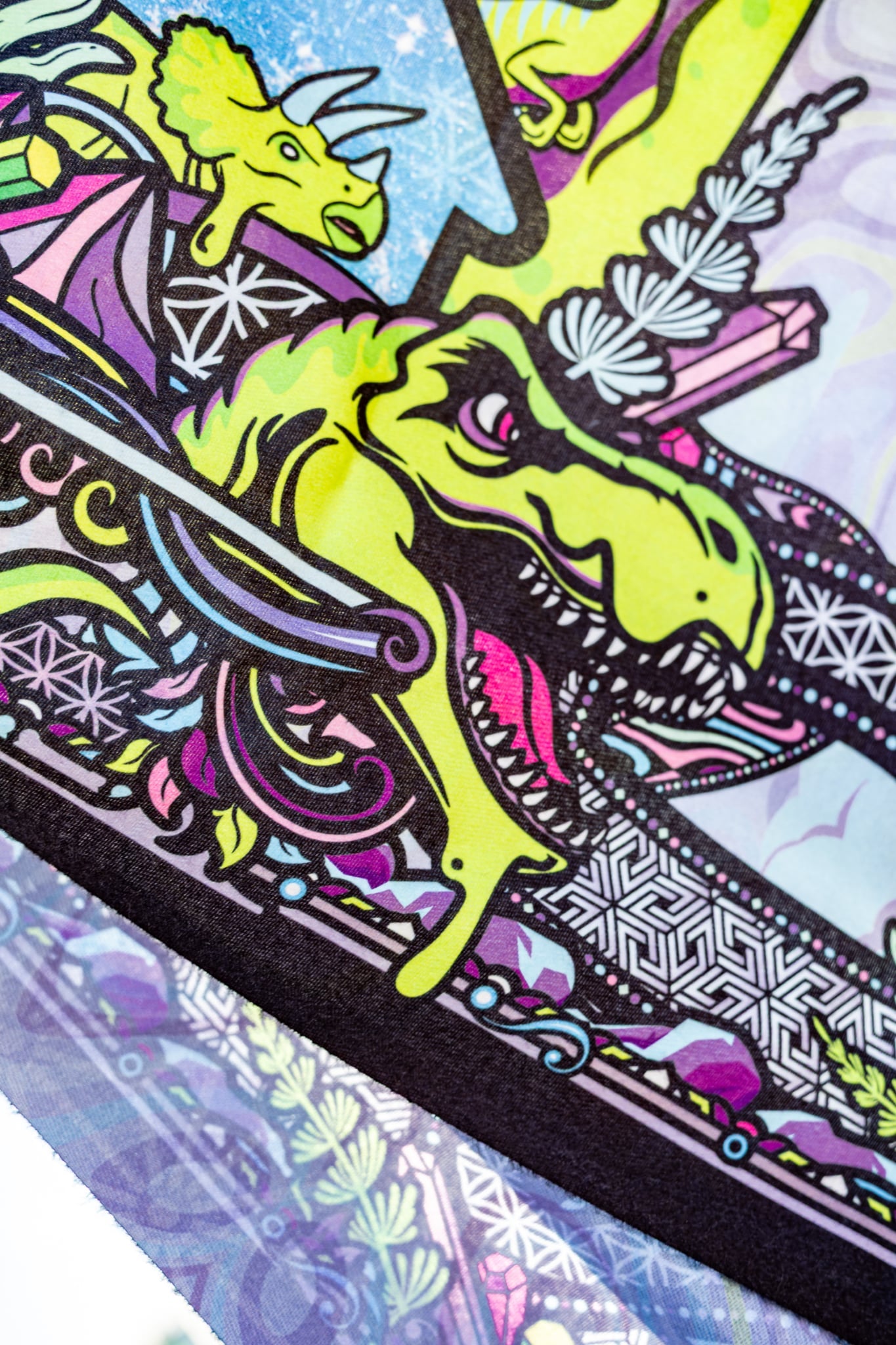 Lost Lands 2026 Double sided Pashmina