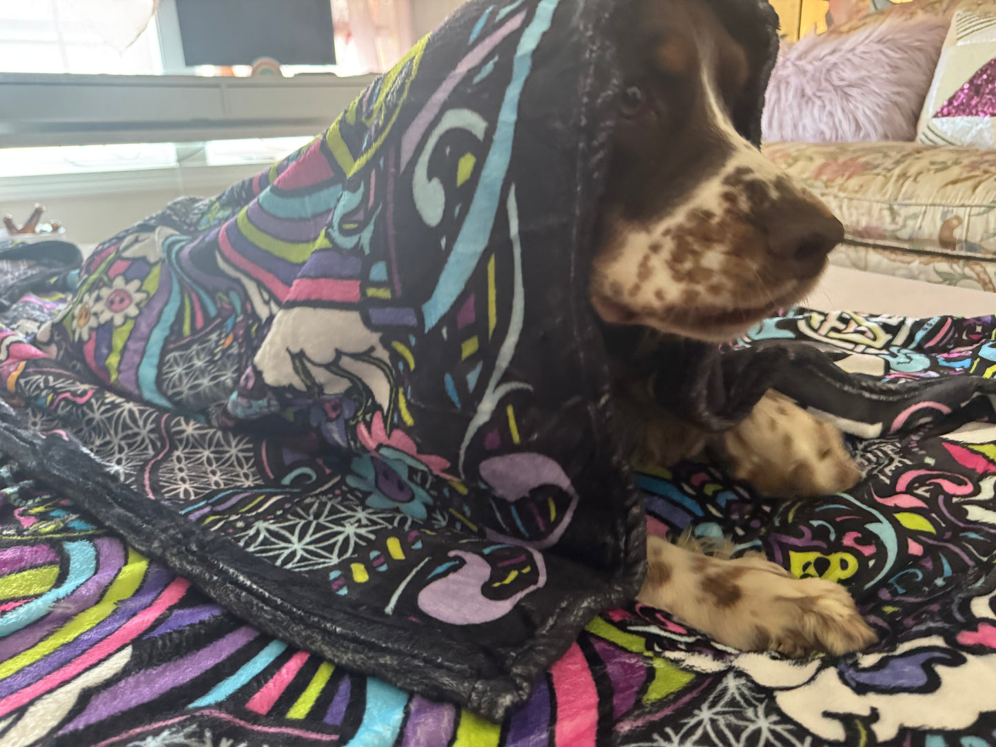 Show love spread love blanket